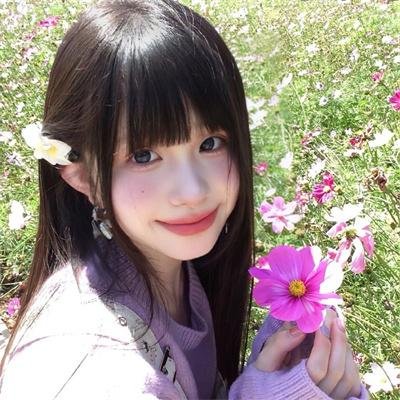 继承者们