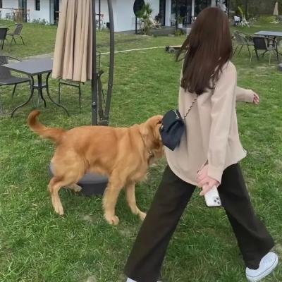 宿命，吾爱